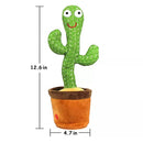 Cacto Musical Dança e Repete Sons